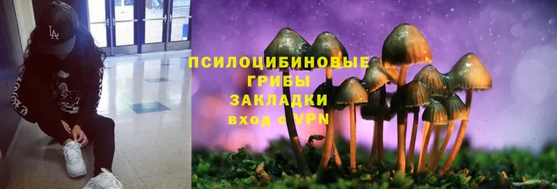 Псилоцибиновые грибы MAGIC MUSHROOMS  хочу наркоту  гидра вход  Котельниково 